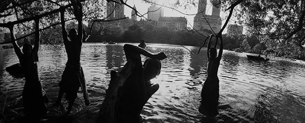 Young people hanging from tree branches into a lake in Central Park. New York. USA. 1965. © Bruce Davidson
