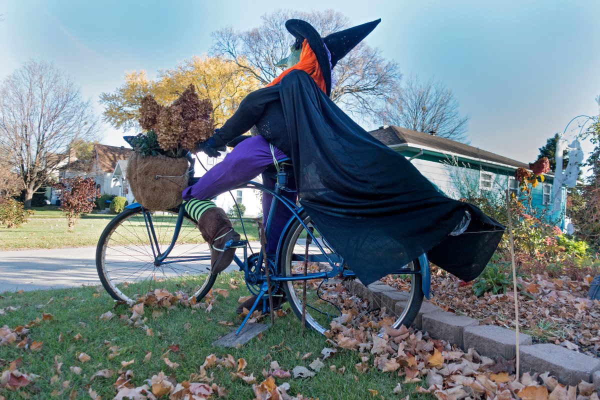 halloween,witch,riding,bicycle,with,basket,of,flowers,through,neighborhood
