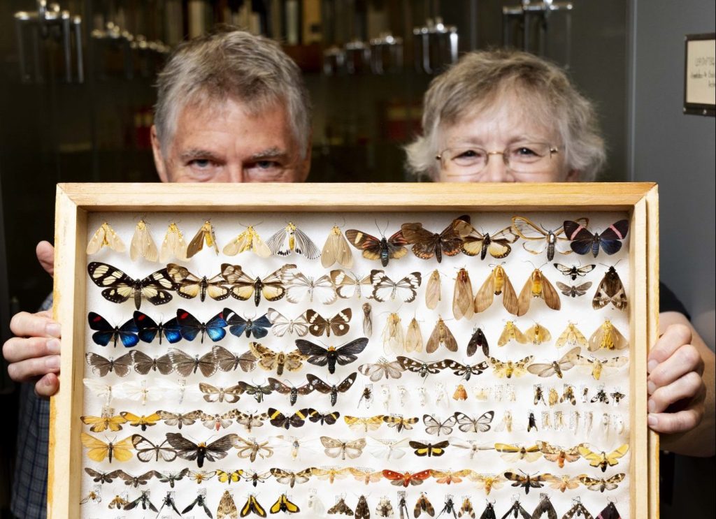 Enns Entomology Museum staff
