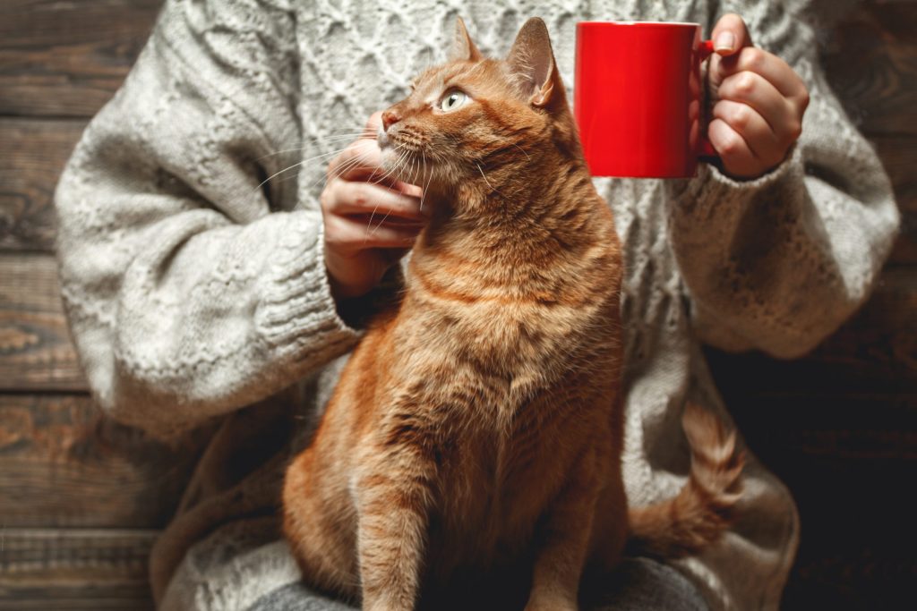 Girl,In,Warm,Sweater,Drinking,Coffee,With,Red,Cat,On
