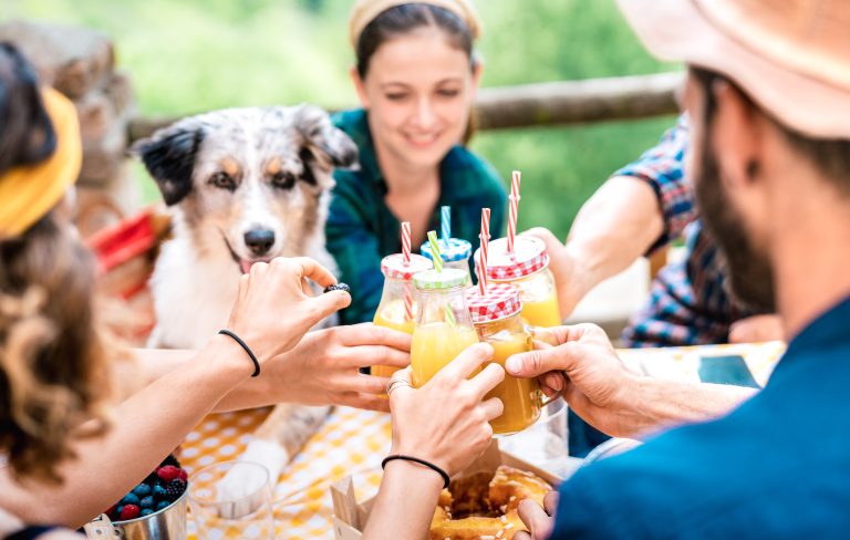 happy,friends,toasting,healthy,orange,fruit,juice,at,countryside,picnic